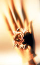 SJ_FL_00_C-0387.jpg