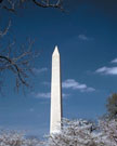 SJ_IN_00_H-0210.jpg