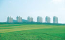 SJ_IN_00_H-0099.jpg