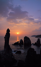 SJ_NA_00_I-0423.jpg