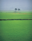 SJ_NA_00_I-0438.jpg