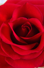 SJ_FL_10_0065.jpg