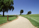 SJ_RO_10_0275.jpg