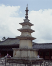 SJ_TR_10_0202.jpg